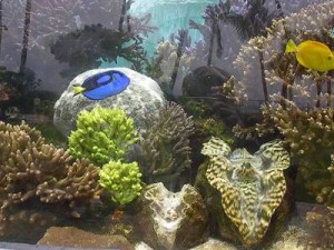 waikiki aquarium